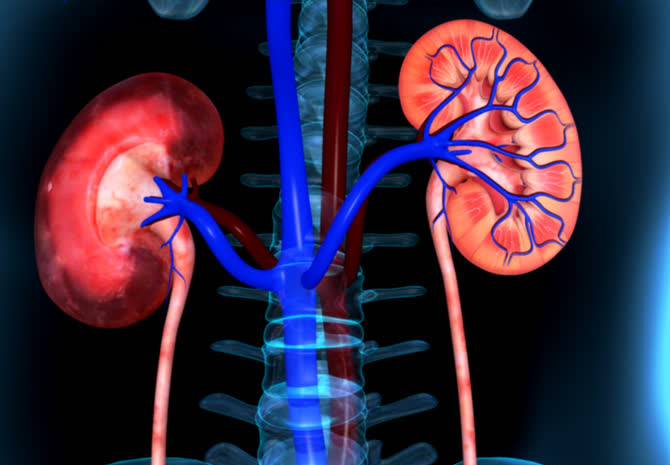 Kidney Failure